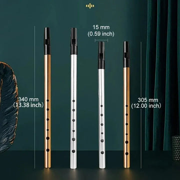 Miwayer - Ierse Fluit - C/D Toets - 6 Gaten - Tin Whistle - Voor Muziekliefhebbers - Model C/D Apsilon