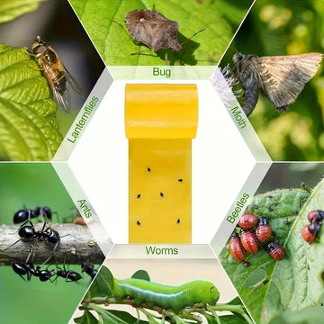 1 Roll Double-Sided Sticky Insect Barrier Tape Effective Against Outdoor Pest Control Self-Adhesive Suitable for Trees Gardens Apsilon