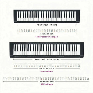 Miwayer - Piano Toetsenbord Stickers - Verwijderbaar - Zonder Lijm - Piano Noten Gids - Voor Beginners - 88/61 Model Apsilon