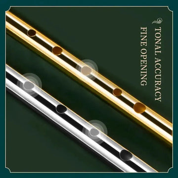 Miwayer - Ierse Fluit - C/D Toets - 6 Gaten - Tin Whistle - Voor Muziekliefhebbers - Model C/D Apsilon
