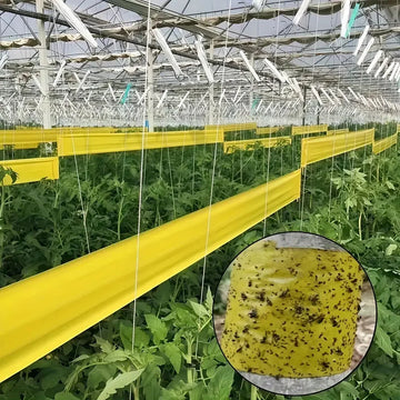 1 Roll Double-Sided Sticky Insect Barrier Tape Effective Against Outdoor Pest Control Self-Adhesive Suitable for Trees Gardens Apsilon