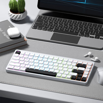 XVX BOW Shine Through Low Profile Keycaps Skyline R2 Double-Shot PBT Key Cap Compatible ASIN US Black/White 127 Keys Apsilon