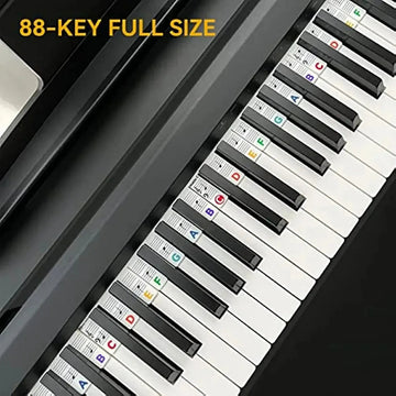Miwayer - Piano Toetsenbord Stickers - Verwijderbaar - Zonder Lijm - Piano Noten Gids - Voor Beginners - 88/61 Model Apsilon