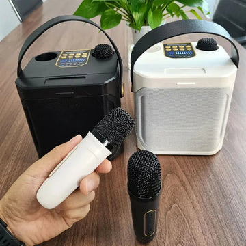 VIKEFON - Draagbare Bluetooth Speaker - 100W Krachtig - Dual Microfoon - Karaoke - Voor Muziekliefhebbers - S882 Apsilon