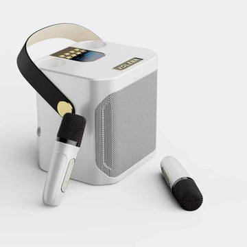 VIKEFON - Draagbare Bluetooth Speaker - 100W Krachtig - Dual Microfoon - Karaoke - Voor Muziekliefhebbers - S882 Apsilon