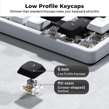XVX BOW Shine Through Low Profile Keycaps Skyline R2 Double-Shot PBT Key Cap Compatible ASIN US Black/White 127 Keys Apsilon