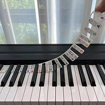 Miwayer - Piano Toetsenbord Stickers - Verwijderbaar - Zonder Lijm - Piano Noten Gids - Voor Beginners - 88/61 Model Apsilon