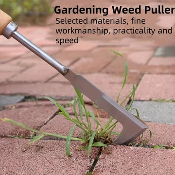 Stainless steel gap weeding tool, L-shaped multi-purpose garden hand tool, used for clearing weeds in yards, terraces, and lanes Apsilon