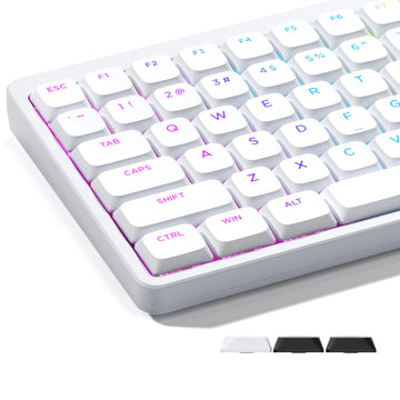 XVX BOW Shine Through Low Profile Keycaps Skyline R2 Double-Shot PBT Key Cap Compatible ASIN US Black/White 127 Keys Apsilon