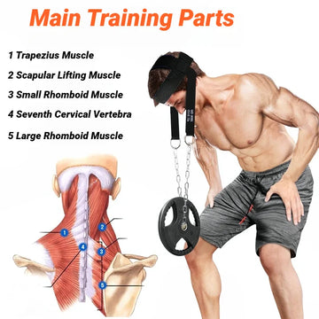 Head Neck Iron ChainTraining Harness Exercise Cervical Spine Strap Adjustable Power Gym Fitness Weight Bearing Cap Socket Device Apsilon