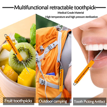 Portable Titanium Toothpicks Three Gear Adjustment Reusable Toothpicks Metal Teeth Picks Versatile Fruit Picker Apsilon