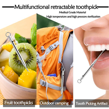 Portable Titanium Toothpicks Pocket Toothpicks Keychain Silver with Metal Toothpick Holder for Outdoor Picnic Camping Accessorie Apsilon