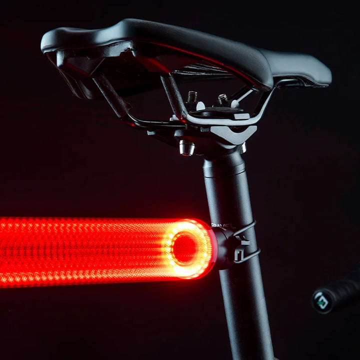 ROCKBROS Smart Bike Tail Light Bicycle Rear Lights IPX6 Waterproof Bike Lights for Night Riding with Type C Rechargeable Apsilon