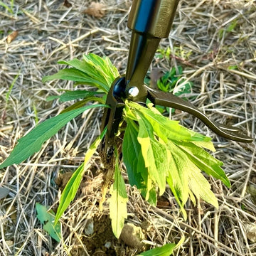 1pc 4-Claw Weed Tool Head - Professional Root Extractor for Tough Garden Weeds, Ergonomic Yard Maintenance Solution Apsilon