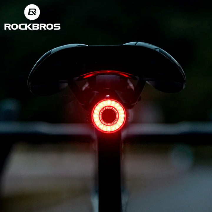 ROCKBROS Smart Bike Tail Light Bicycle Rear Lights IPX6 Waterproof Bike Lights for Night Riding with Type C Rechargeable Apsilon