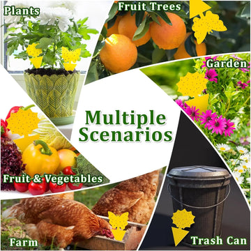 Landisun Fruit Fly Traps Fungus Gnat-Traps for Indoor-Outdoor Yellow Fruit-Fly Sticky-Trap Plants Flying Bug Insects Traps Apsilon