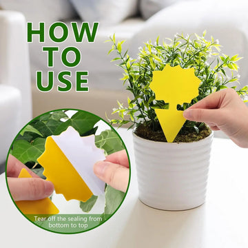 Landisun Fruit Fly Traps Fungus Gnat-Traps for Indoor-Outdoor Yellow Fruit-Fly Sticky-Trap Plants Flying Bug Insects Traps Apsilon