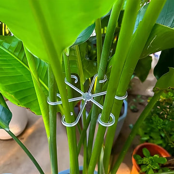 4Pcs Plant Anti-Toppling Support Pole Green Plant Fixator Flower Hydroponic Folding Fixed Support Plant Stand Garden Accessories Apsilon