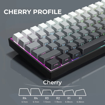 XVX Russian 135 Keys Side Print Shine Through Keycaps for Mechanical Keyboard PBT Gray Keycap RU Layout with Backlight Apsilon