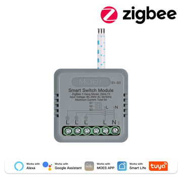 MOES Mini Smart Switch 1-4 Gang,WiFi/Zigbee DIY Module,Works with Alexa&Google Home,Timer&Voice Control,Home Automation Apsilon